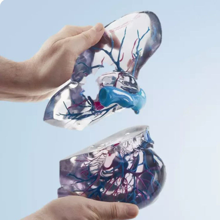 Material de resina Impressão 3D a cores completas Polijet para arquivos STL de protótipo médico