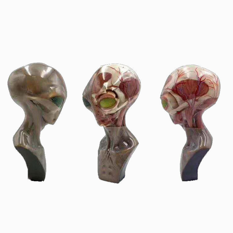 Serviço de Impressão 3D Multicolor de Alta Resolução Médica Com Processo SLM